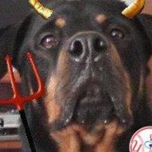 Meet your Posher, Mike